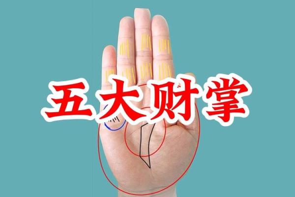 财运达人必备：揭秘外财手相，轻松实现财富自由！