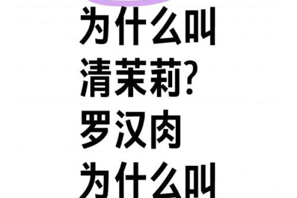 名字解码：揭秘十人组合名字背后的含义