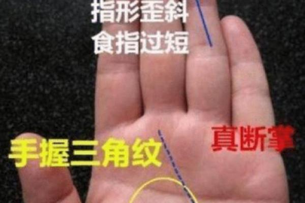 掌中花花，探寻命运密码的神奇手相术！