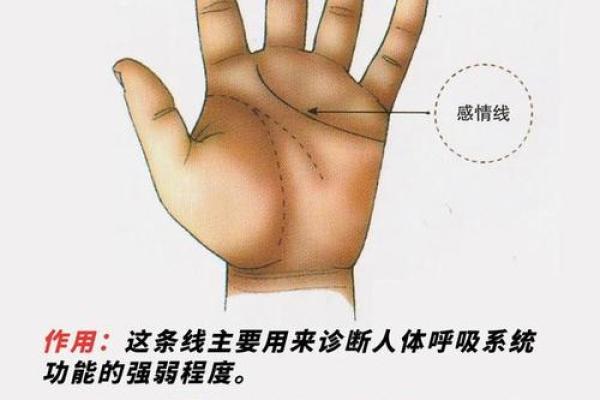 疲劳线的秘密：揭示手相中的健康密码