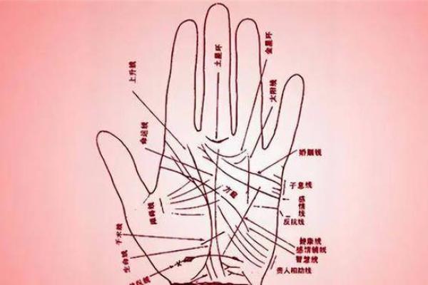 手相揭秘：小拇指短，命运多舛？