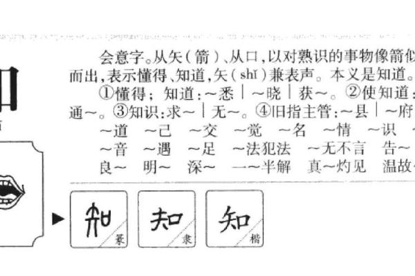揭示知字背后的五行秘密