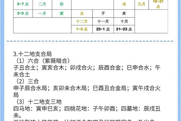 天地之间：地支如何影响天干的力量解析