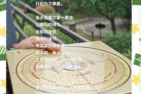 家居风水入门必备：快速提升居住环境的五大秘籍