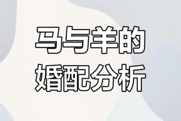 羊男羊女天生一对，婚配运势大揭秘