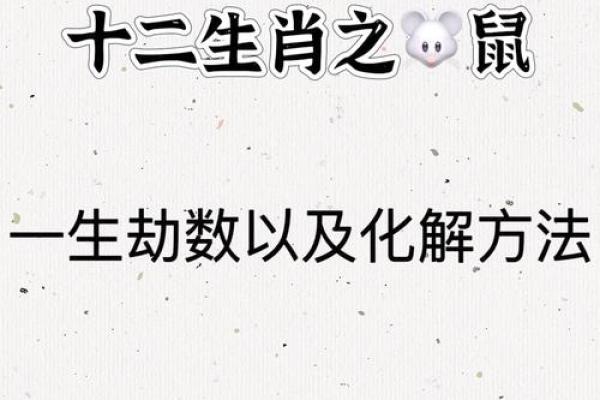 鼠年传统与风俗：文化底蕴中的细节与传承