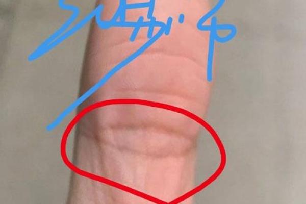 凤眼纹手相揭秘：财运亨通的秘密符号