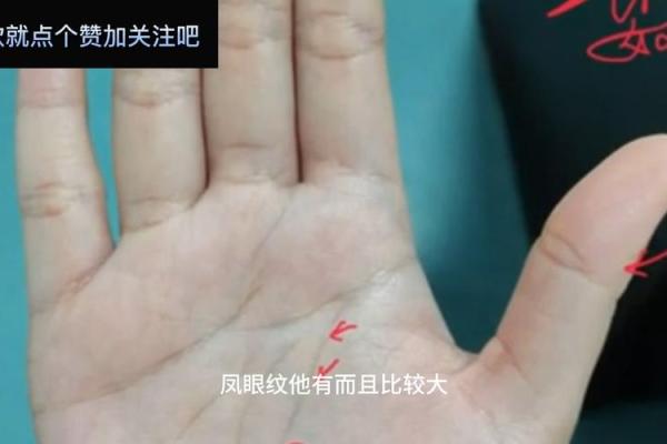 凤眼纹手相揭秘：财运亨通的秘密符号