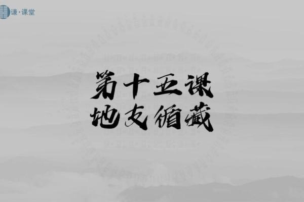 探秘地支循藏，让你轻松养生抗衰老