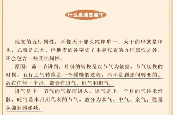 探秘地支循藏，让你轻松养生抗衰老
