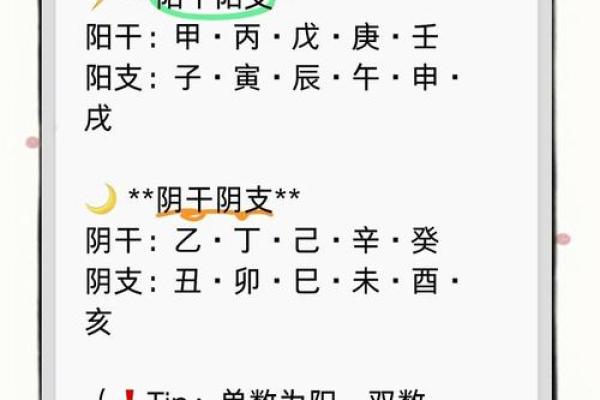 阴金之光：揭秘神秘地支的奥秘