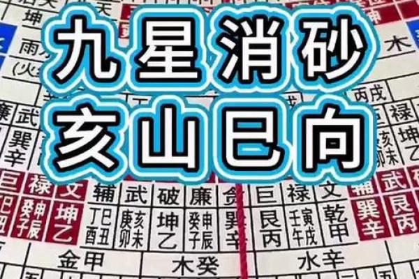 亥山已向风水布局解析与应用技巧