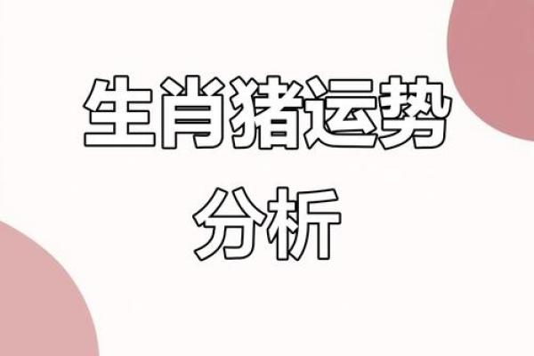 属猪人今日运势波动
