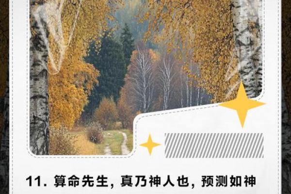 精准算命，天干地支带你走进命运之门