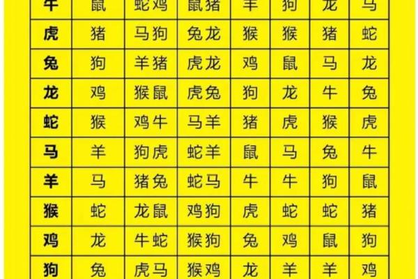 地支相冲，运势大揭秘：哪些生肖易招灾？
