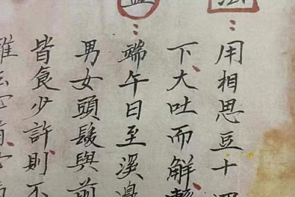 蛊虫命名术：探寻名字中的神秘蛊虫传说