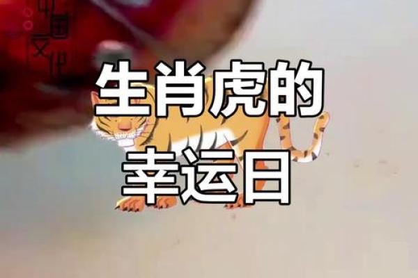 寅月命理大解析：生肖虎的人生财富运势大公开