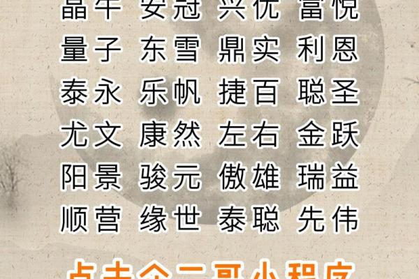 从常用名字看公司起名的选项与灵感