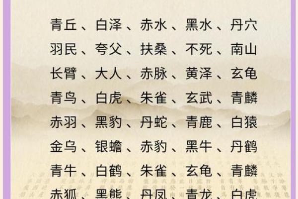 从常用名字看公司起名的选项与灵感