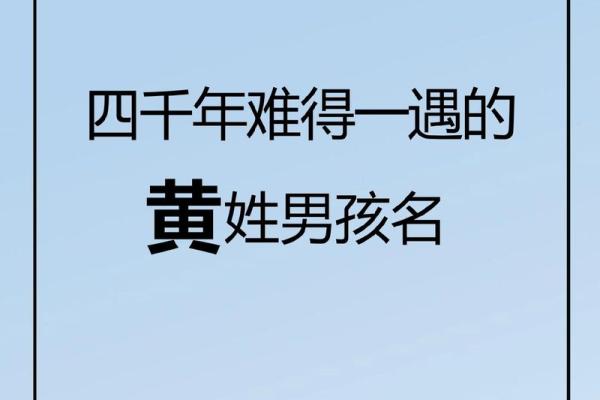 狗年黄家子嗣：寓意吉祥的男孩名字推荐