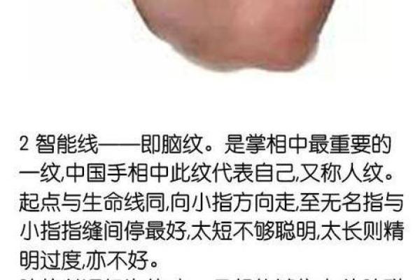 解锁神秘潜能：脑纹手相揭秘人生密码
