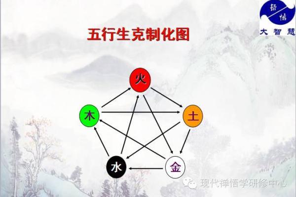 解密汽车五行属性对选择的影响
