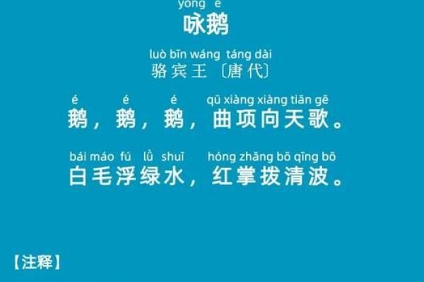 鹅在五行中的象征意义