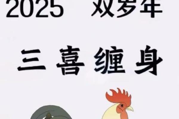 鸡年双宝吉祥名汇