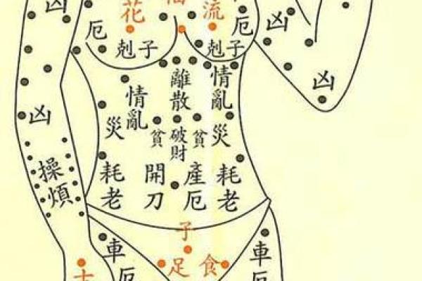 痣相之谜：女人全身痣，暗示着怎样的命运走向？