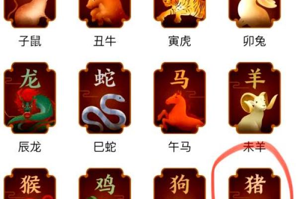 属猪女2016年：桃花朵朵开，爱情运势旺爆表