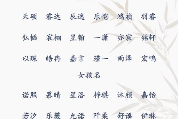慧眼独具，计氏宝宝取名之道