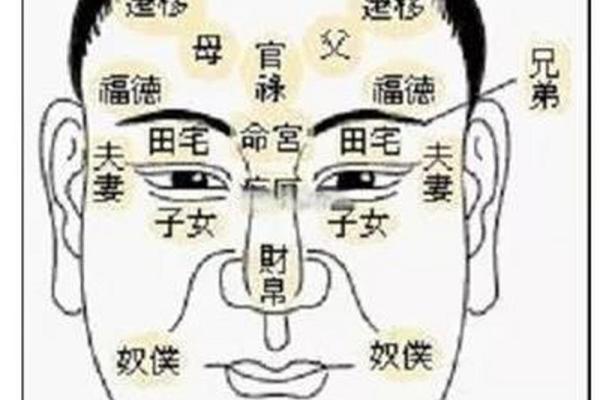 面相揭秘：胸距离大面相的神秘解读