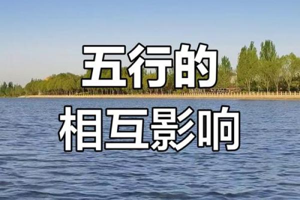 探究地支藏干：五行生克间的微妙平衡