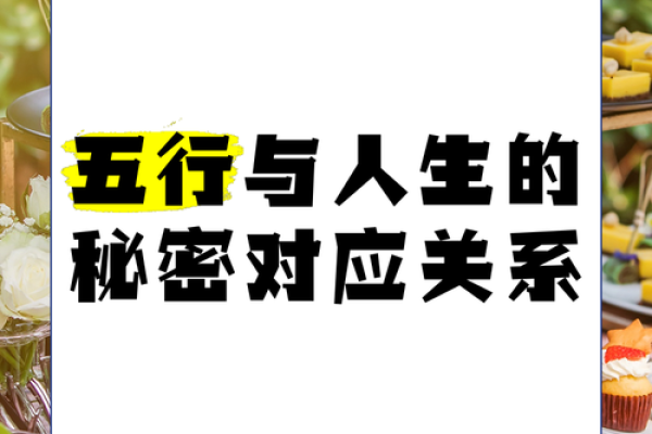 五行与人生的关联