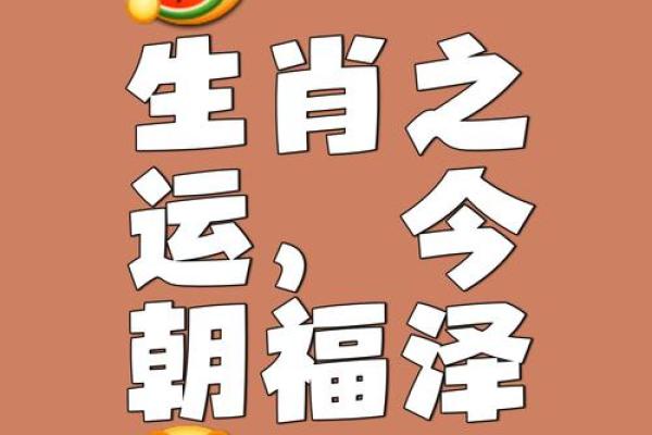 旭鹏腾飞，运势辉煌：解码名字背后的好运密码