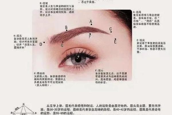 如何通过眉毛调整运势