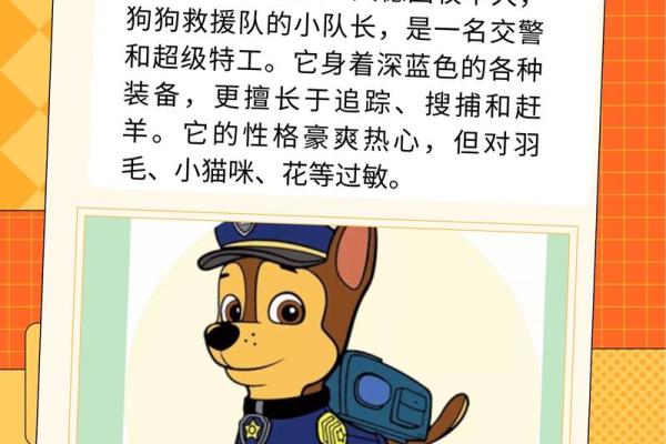 狗宝宝可爱名字推荐