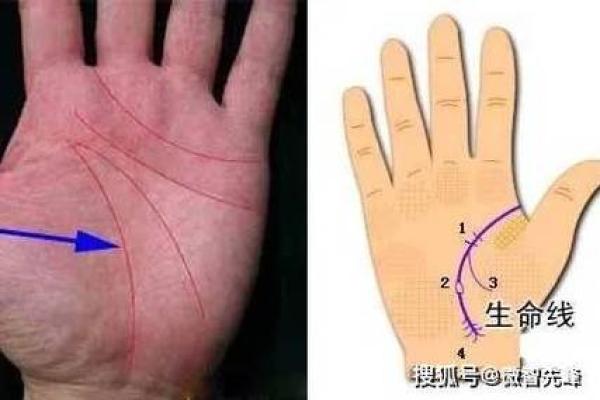 教师手相大揭秘：从这里看穿你的教育潜能