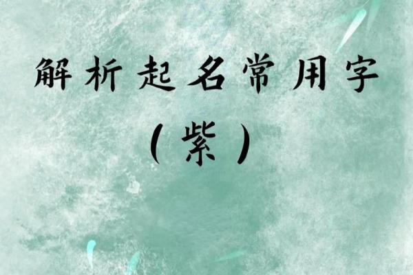 五行中紫字的独特能量与影响