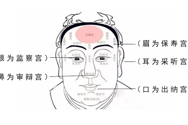 神秘面相术大公开：男麻衣神相痣图解背，揭开命运之谜