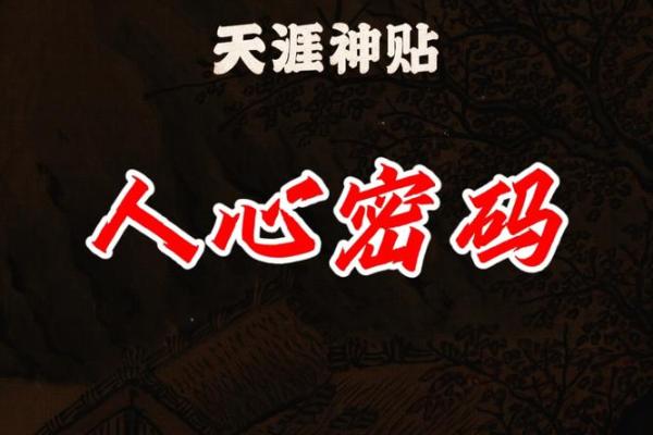 面相识人：解码面部密码，洞察人心深处的智慧之光