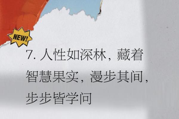 面相识人：解码面部密码，洞察人心深处的智慧之光