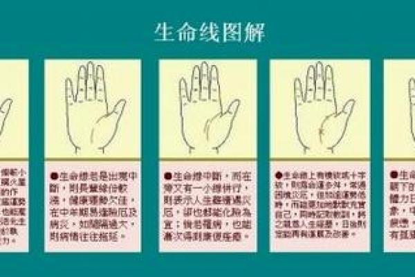 手相解读，解锁你的命运密码！