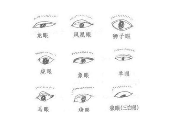 面相揭秘：眼主命运，洞察人生百态