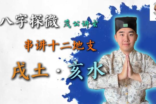 亥水地支解析：探寻其背后的奥秘与智慧