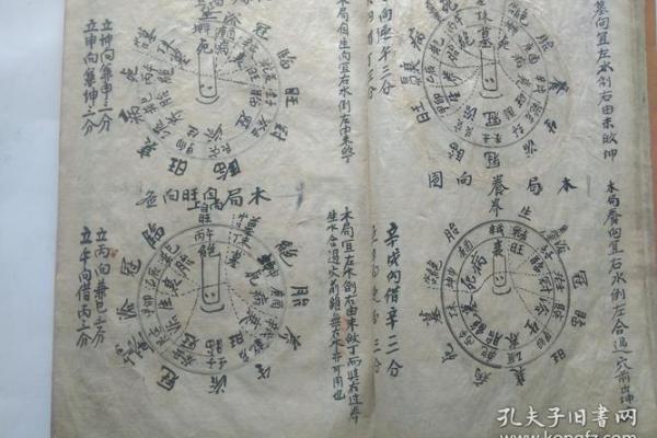 大学墓葬风水学考试答题策略与复习方法