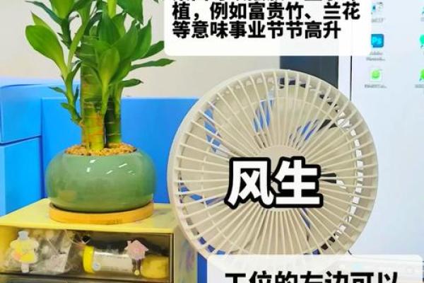 揭秘办公室风水布局：空旷空间如何带来财运亨通？