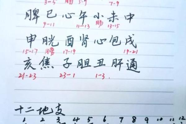 八卦藏玄机，十二地支解密人生运势