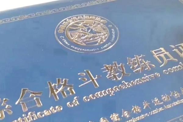 刘嘉诚：从平凡到非凡的成功之路