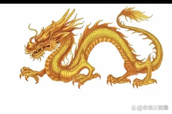龙生肖的事业运势与挑战分析